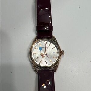 Citizen x Disney Eco-Drive Winnie The Pooh Watch